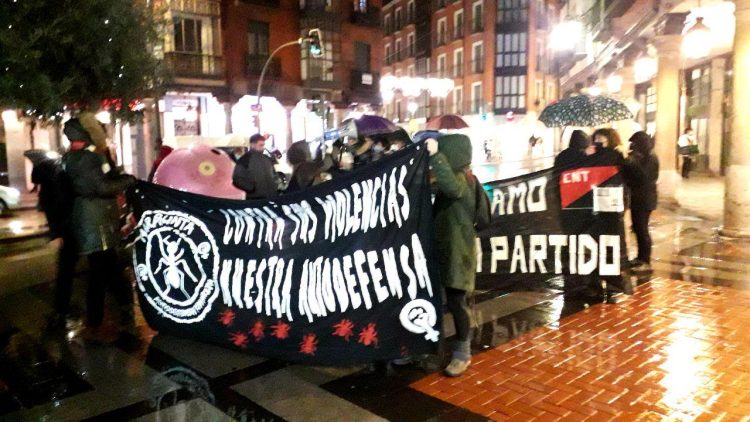 Cientos de personas han secundado este 25 N la manifestación convocada por el Bloque Crítico Feminista