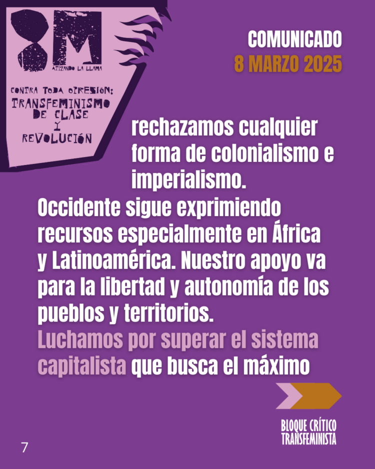 Manifiesto #8M combativo de Valladolid