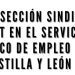 Nueva sección sindical de CNT en el ECYL