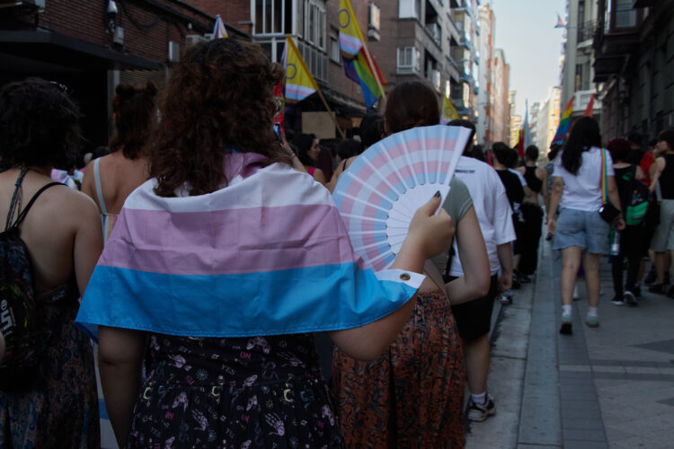 28 de junio de 2025, manifestación del Orgullo Crítico en Valladolid