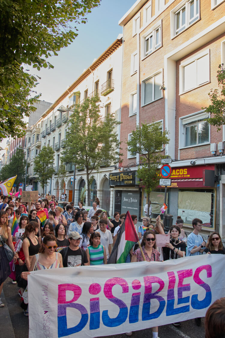 28 de junio de 2025, manifestación del Orgullo Crítico en Valladolid