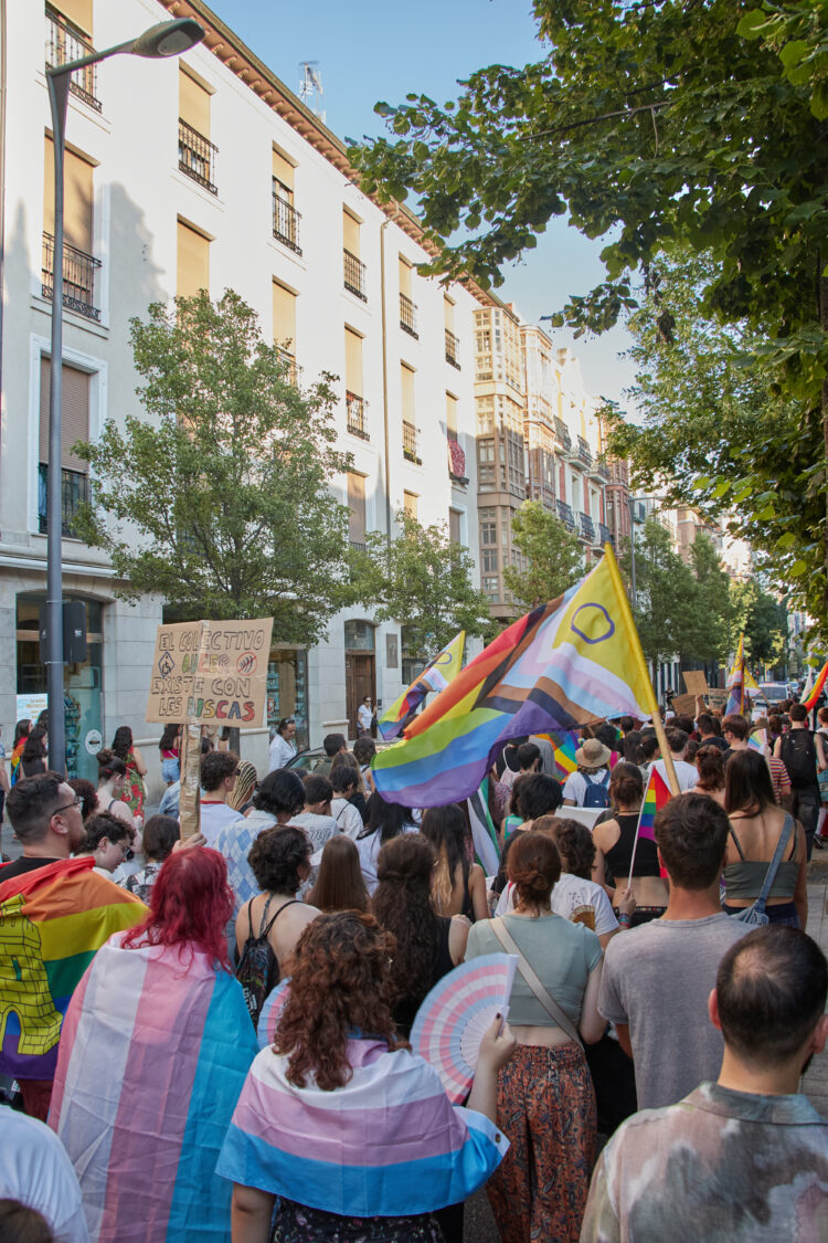 28 de junio de 2025, manifestación del Orgullo Crítico en Valladolid