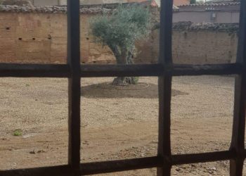 El proyecto literario Raigambre dona sus primeros 3.000 euros para la rehabilitación del jardín renacentista del palacio de la localidad de Grajal de Campos en León