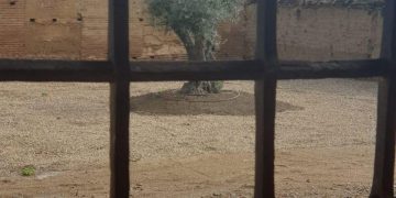 El proyecto literario Raigambre dona sus primeros 3.000 euros para la rehabilitación del jardín renacentista del palacio de la localidad de Grajal de Campos en León