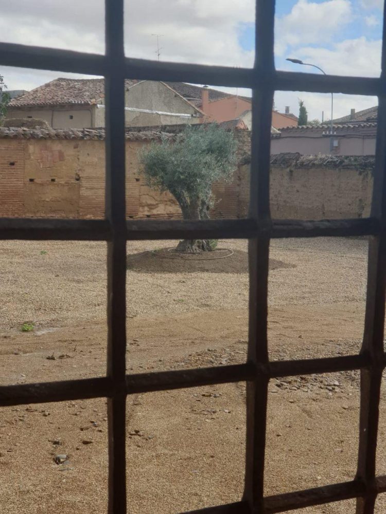 El proyecto literario Raigambre dona sus primeros 3.000 euros para la rehabilitación del jardín renacentista del palacio de la localidad de Grajal de Campos en León