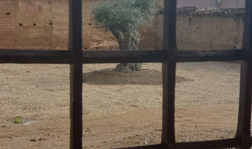 El proyecto literario Raigambre dona sus primeros 3.000 euros para la rehabilitación del jardín renacentista del palacio de la localidad de Grajal de Campos en León