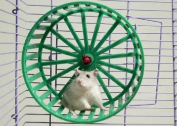 [Convenios] Acuerdo para el bonus por objetivos en Renault Valladolid