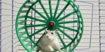 [Convenios] Acuerdo para el bonus por objetivos en Renault Valladolid