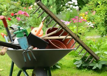 Convenio colectivo de empresas de centros de jardinería 2021-2022