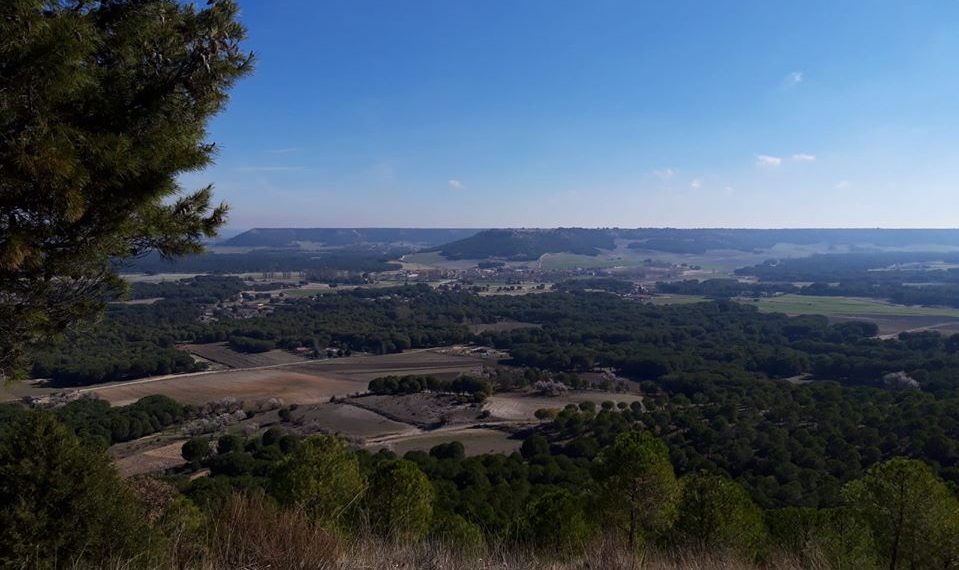 [G.L. Sendero Negredo] Sin justicia social no habrá libertad