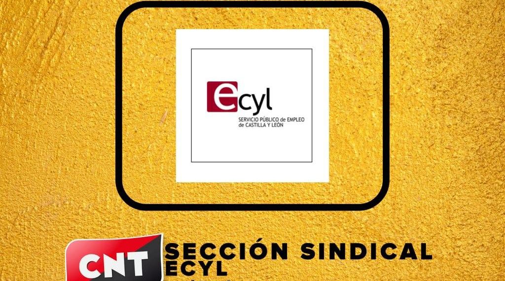 Creada la sección sindical de CNT en el ECYL