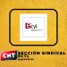 Creada la sección sindical de CNT en el ECYL
