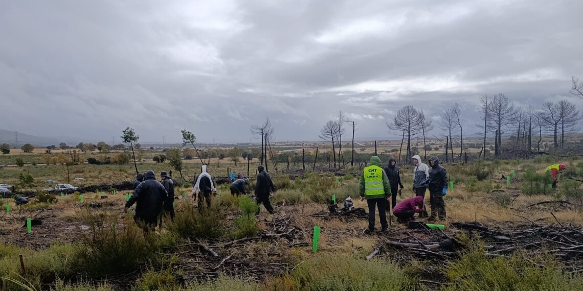 Por un territorio vivo: III Jornada de repoblación de la Sierra de la Culebra (Zamora)