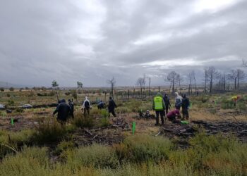 Por un territorio vivo: III Jornada de repoblación de la Sierra de la Culebra (Zamora)