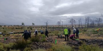 Por un territorio vivo: III Jornada de repoblación de la Sierra de la Culebra (Zamora)